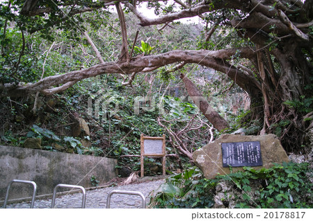 Yonagunijima Tinderhanata entrance Yonagunijima Tinderhanata entrance 20178817