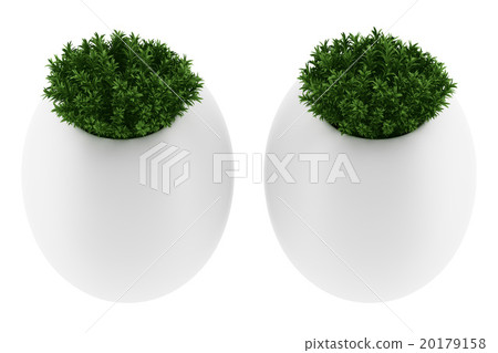 two wall plants in pots isolated on white  20179158