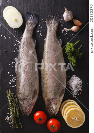 raw trout with ingredients on a slate board raw trout with ingredients on a slate board 20180370