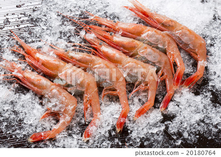 Sweet shrimp 20180764