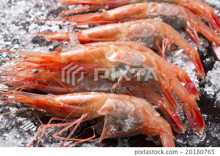 Sweet shrimp 20180765