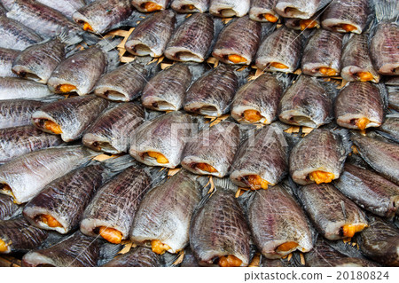 Fishes in market 20180824