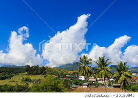 contryside in Mae hong son ,Thailand 20180945