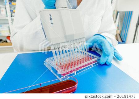 96 well plate for PCR processing 20181475