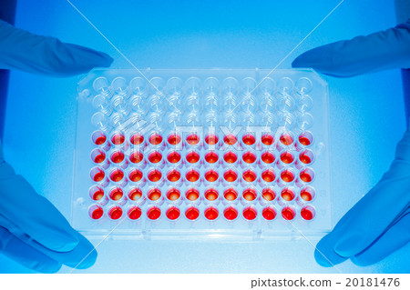 96 well plate for PCR processing 96 well plate for PCR processing 20181476