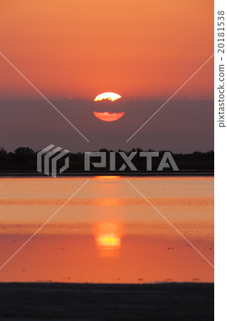 sunrise in Camargue, Provence, France 20181538