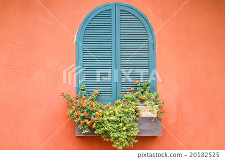Window with flowers. 20182525