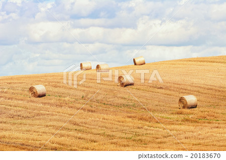 Haystacks on the Field 20183670