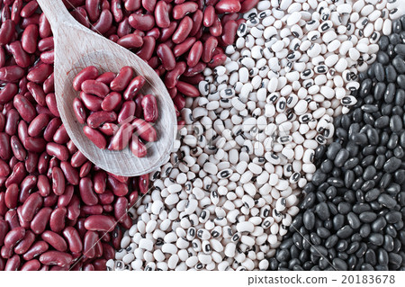 Dried Beans 20183678