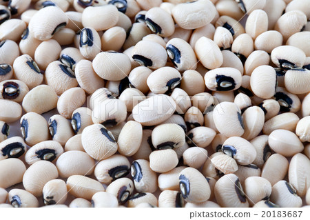 California Beans 20183687