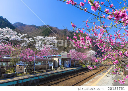 Hanasaki神戶站 20183761