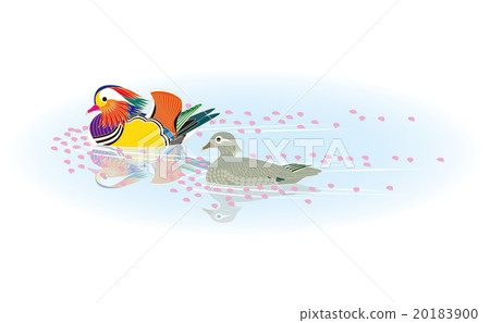 Spring oyster 20183900