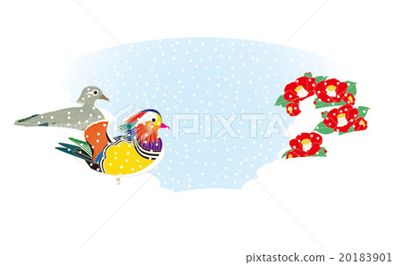 Oshidori in winter 20183901