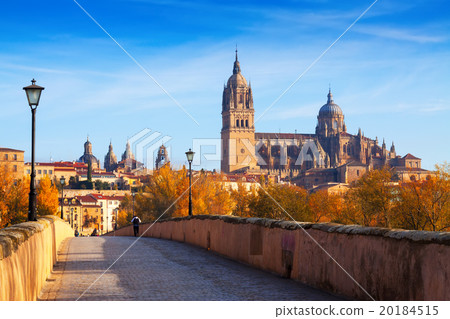 Autumn view of Salamanca with old bridge and Cathedral 20184515