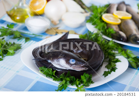 Close up view at sea eel fish ready for cooking 20184531