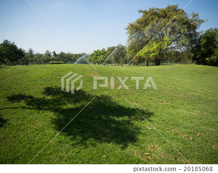 Green summer park garden. Green summer park garden. 20185068
