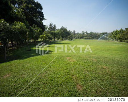 Green summer park garden. Green summer park garden. 20185070
