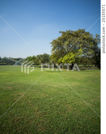 Green summer park garden. Green summer park garden. 20185071