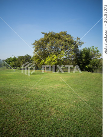 Green summer park garden. Green summer park garden. 20185072