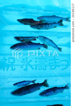 支笏湖冰節 20186117