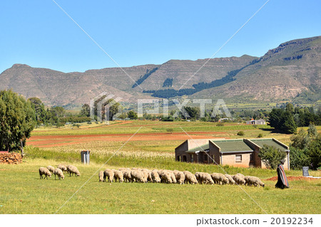 Landscape of the rural town "Maremarea" in the "Kingdom of the sky" on the continent of Africa Landscape of the rural town "Maremarea" in the "Kingdom of the sky" on the continent of Africa 20192234