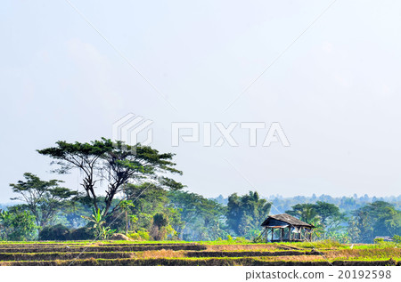 Old haunted house on the empty field Old haunted house on the empty field 20192598