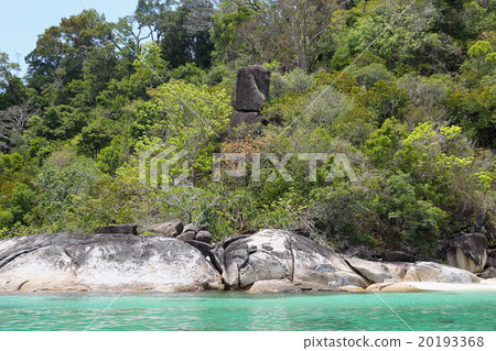 scenic views of the coastline 20193368