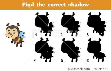 Find the correct shadow (bee) Find the correct shadow (bee) 20194562