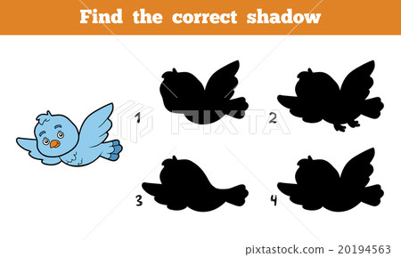 Find the correct shadow (bird) Find the correct shadow (bird) 20194563