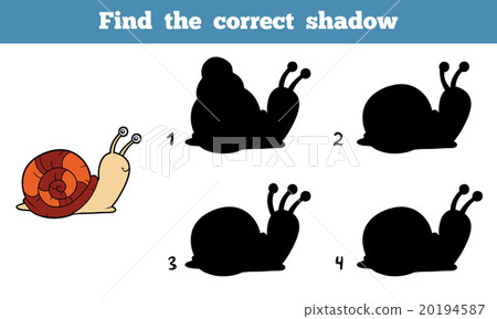 Find the correct shadow (snail) Find the correct shadow (snail) 20194587