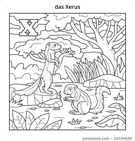 German alphabet, letter X (xerus and background) German alphabet, letter X (xerus and background) 20194689