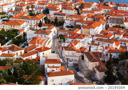 Hydra Hydra 20195084