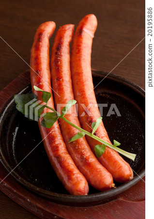 維納 維納 20195886