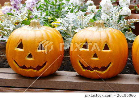 Halloween Halloween 20196060