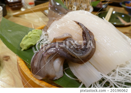 Squid sashimi Squid sashimi 20196062