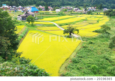 Nagano Prefecture Eikawa Municipal landscape of Tsukioka Nagano Prefecture Eikawa Municipal landscape of Tsukioka 20196365