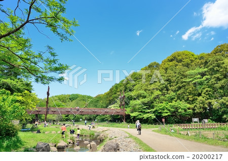 Fountain forest Fountain forest 20200217