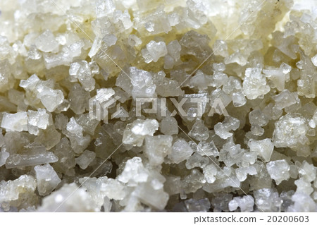 Up of French Salt Selma Land Gueland 20200603