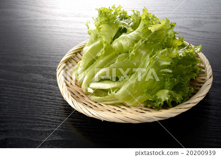 褶邊生菜 20200939