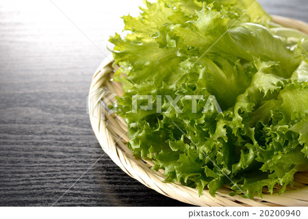 褶邊生菜 褶邊生菜 20200940