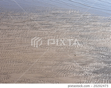 Sandpaper of tideland 20202473