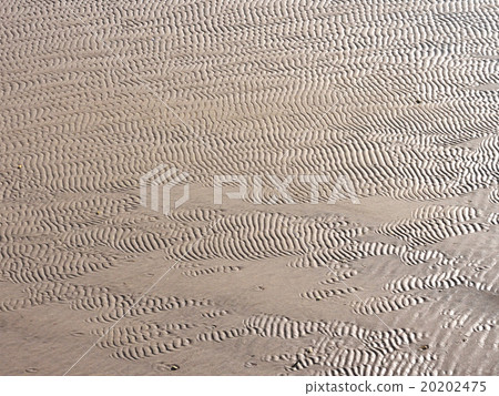 Sandpaper of tideland 20202475