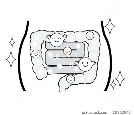 腸道菌群 腸道菌群 20202941