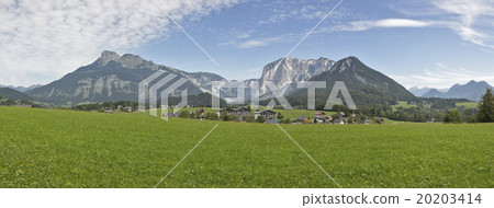 Idyllic Alps landscape panorama in Austria 20203414