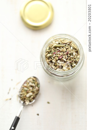 草本植物茶紫錐菊 草本植物茶紫錐菊 20203801