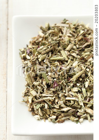 草本植物茶紫錐菊 草本植物茶紫錐菊 20203803