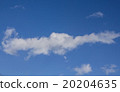 Cloud like crocodile 20204635