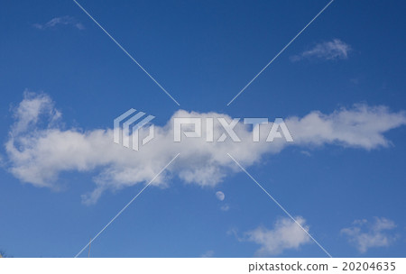 Cloud like crocodile Cloud like crocodile 20204635