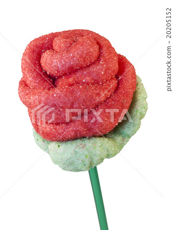 Candy Rose 20205152