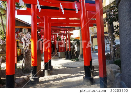 Ebisu Shrine 20205590
